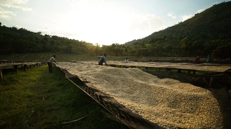 Medium-Selecta Coffee Fund 2020 048.jpg